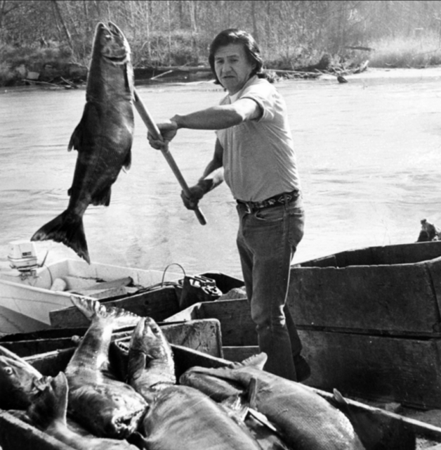 Man loading salmon into a crate on the bank of a river.